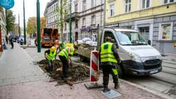 Ruszyły nasadzenia drzew na ul. Zwierzynieckiej i ul. Kościuszki 