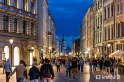 Komisja Burmistrza Nocnego o wycieczkach pub crawl