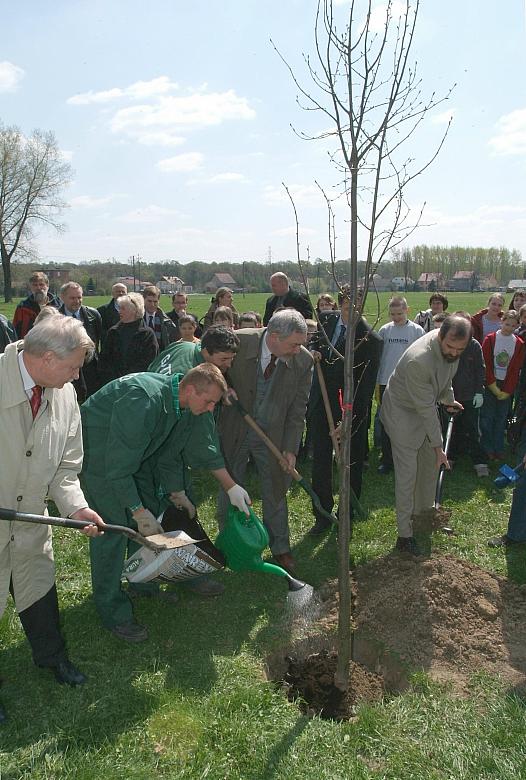 Tradycyjnym elementem obchodów Dni Ziemi jest akcja sadzenia drzew. 