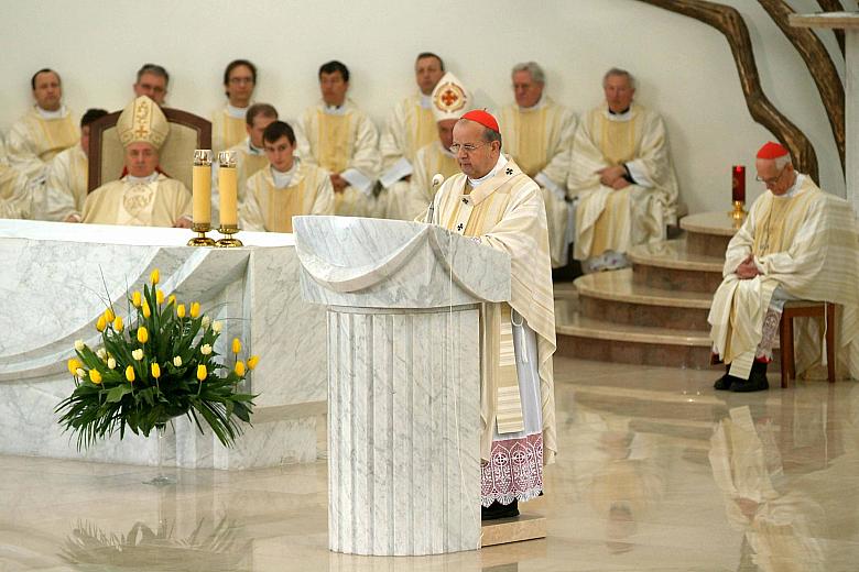 Homilię podczas mszy św. wygłosił Metropolita Krakowski Stanisław Dziwisz.