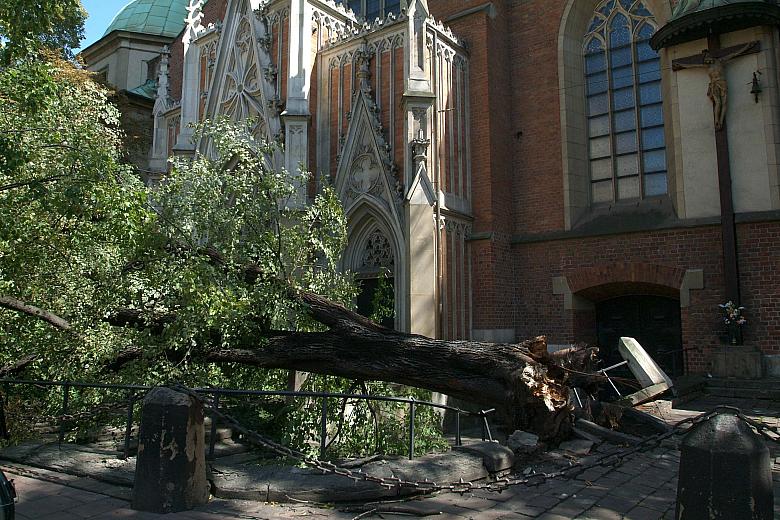 Zwalone drzewo zablokowało wejście do kościoła Dominikanów.