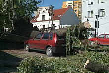 Nocą z 24 na 25 sierpnia przeszła nad Krakowem nawałnica. Gwałtowny wiatr przewrócił ponad 300 drzew. Jedno z nich przygniotło s