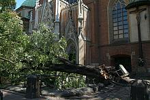Zwalone drzewo zablokowało wejście do kościoła Dominikanów.