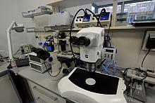 Uroczyste otwarcie laboratoriów Jagiellońskiego Centrum Rozwoju Leków