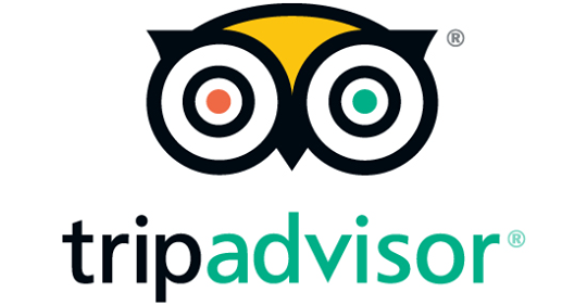 TripAdvisor - logo