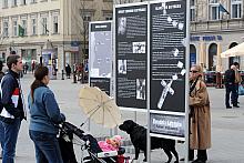 Częścią obchodów 70. rocznicy zbrodni katyńskiej w Krakowie jest między innymi wystawa plenerowa...