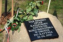 Przy krakowskim Kopcu Piłsudskiego będą rosły dęby pamięci