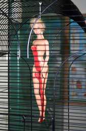 barbie.JPG