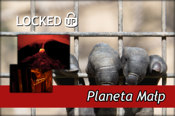 Planeta Małp