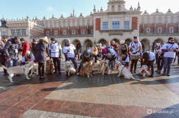 bs_kr_pl_20180114_imgl2157.jpg
