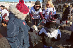 bs_kr_pl_20180114_imgl2165.jpg