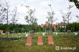 jg1_190802_krpl_4597.jpg