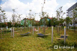 jg1_190802_krpl_4600.jpg