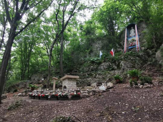 Las Tyniec i Rezerwat Skołczanka