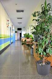 23-zhubakrzyb01sgi0.jpg-Oddział II - Dom Pomocy Społecznej, ul. Nowaczyńskiego 1