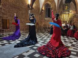 krakowska szkoła flamenco almoraima - zespół zabytkowy.jpg