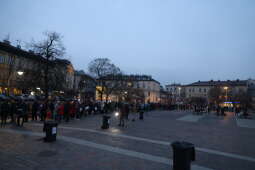 bsk_3366.jpg-Przedświąteczny karp dla Krakowa - Rynek Podgórski