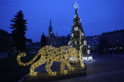 bsk_3389.jpg-Przedświąteczny karp dla Krakowa - Rynek Podgórski