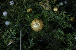 20241206-bsk_4258.jpg-Uroczyste zaświecenie choinki