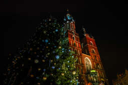 20241206-bsk_4300.jpg-Uroczyste zaświecenie choinki