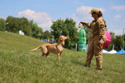 Zdjęcie 25.05.2025, 11 49 23.jpg