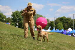 Zdjęcie 25.05.2025, 11 49 29.jpg