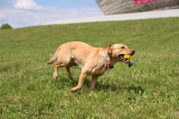 Zdjęcie 25.05.2025, 11 49 38.jpg