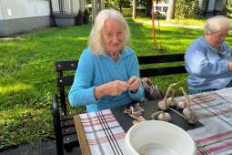 Na zdjęciu mieszkanka podczas obierania czosnku w ogrodzie DPS Praska 25. 