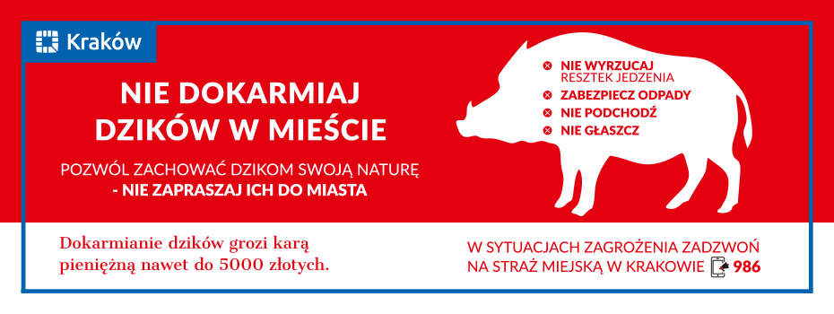 Dziki belka