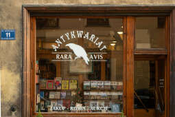 raraavis