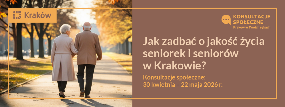 Konsultacje PASIOS