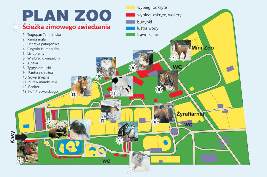Ścieżka zimowego zwiedzania w krakowskim zoo - Magiczny Kraków