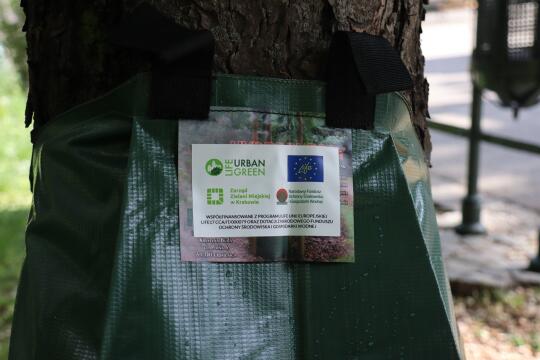 Dbają o drzewa w ramach projektu LIFE Urbangreen