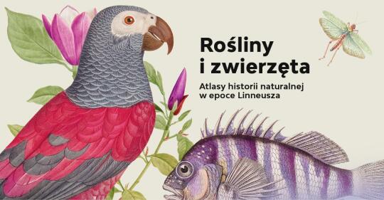 Wielkie piękno świata natury i arcydzieła grafiki