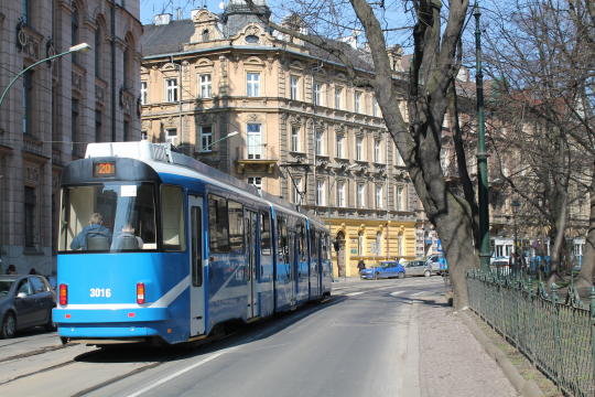 Zmiany w organizacji ruchu, rezolucja w sprawie parku
