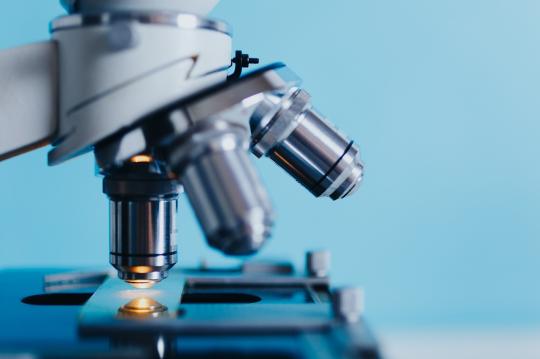 Poznamy mikrobiologiczny odcisk palca Krakowa