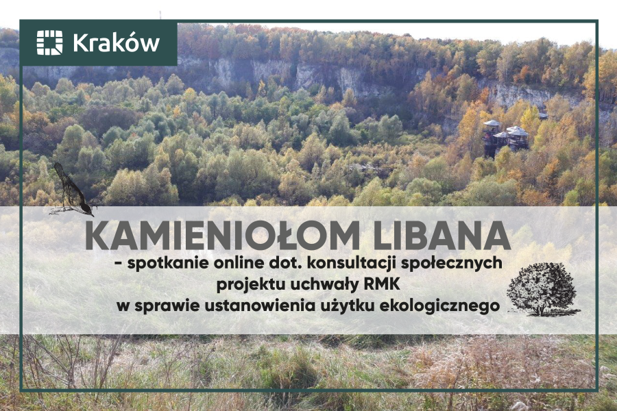 Kamieniolom Liban zaproszenie na spotkanie online, obraz kamieniołomu.png