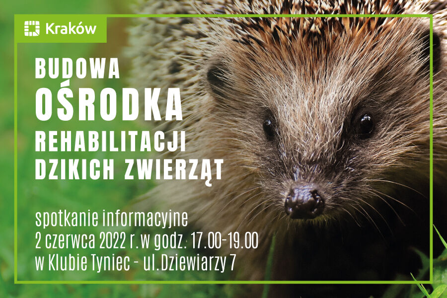 Na zdjęciu jest jeż na zielonym tle i tytuł spotkania: Budowa-osrodka-rehabilitacji-dzikich-zwierzat-obrazek