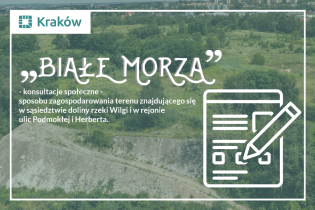 konsultacje społeczne terenu pn. Białe Morza - ankieta konsultacyjna