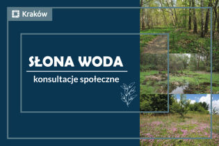 Słona woda - konsultacje społeczne