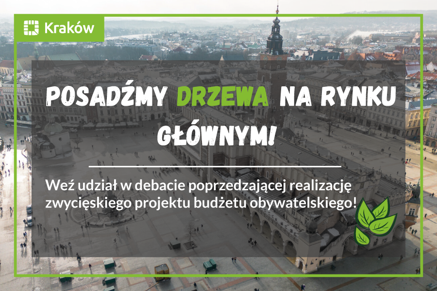 Drzewa na Rynku Głównym - zaproszenie na debatę