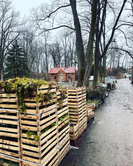 Park Bednarskiego otworzy się w maju