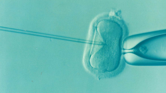 W Krakowie urodziły się dzieci w ramach miejskiego programu in vitro