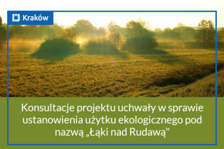 Zdjęcie Łąk nad Rudawą