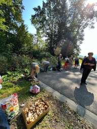 376408881_323513283541725_8089060433563224109_n