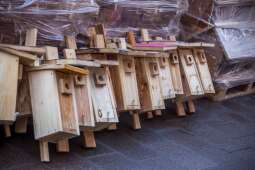 428370319_817319480420507_5306320229535664335_n