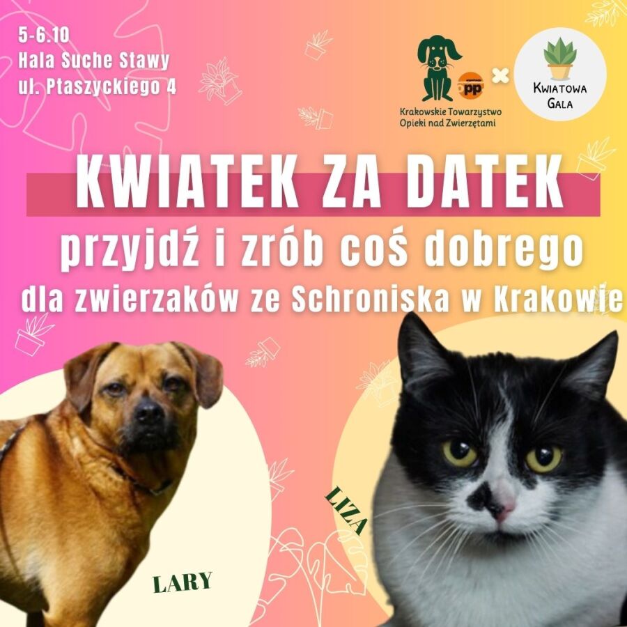 Kwiatek za datek