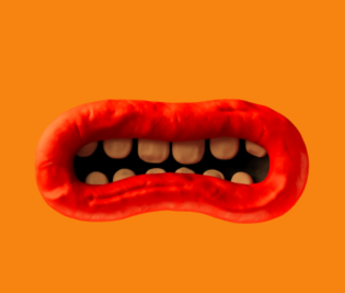 materiały organizatorów