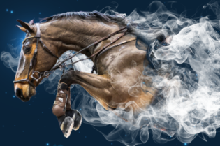 materiały organizatorów