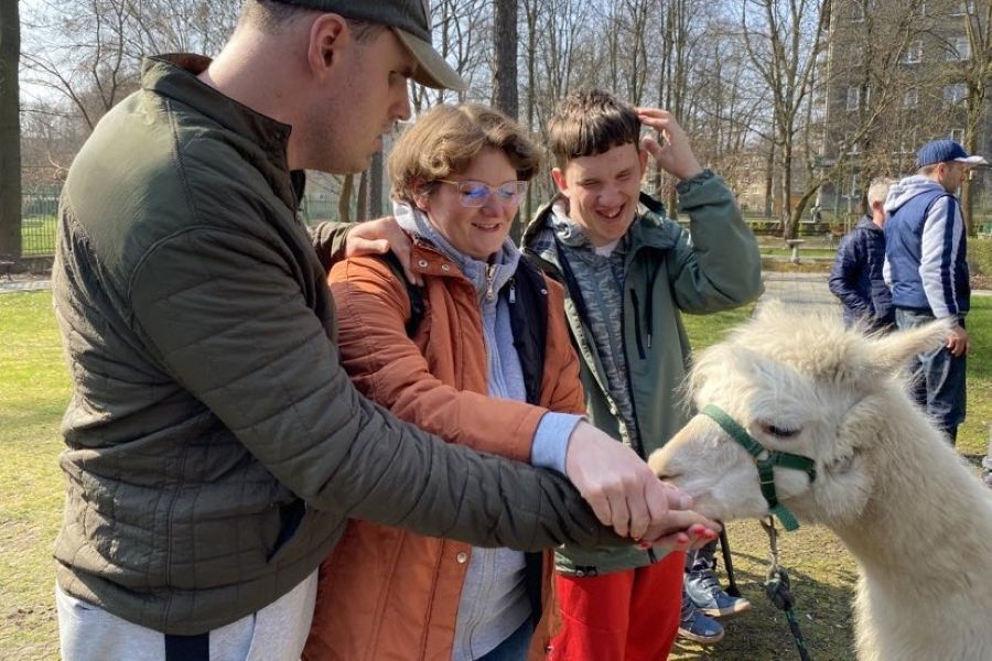 Spotkanie z alpakami 27.03.2025